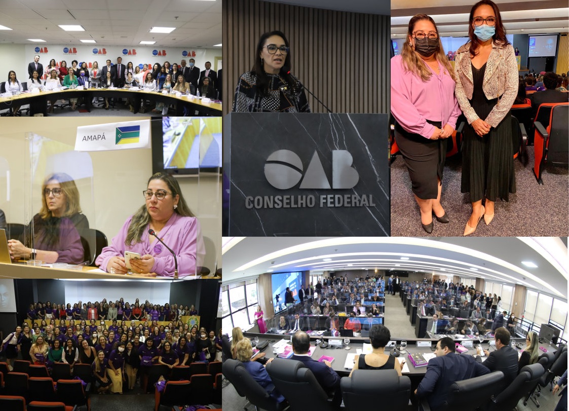 Representantes da OAB-AP participam de programação do Conselho Federal, em Brasilía